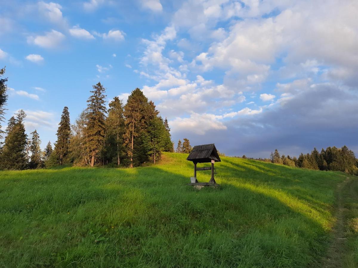 Domek Na Szlaku Rikardo Ponice Exterior foto