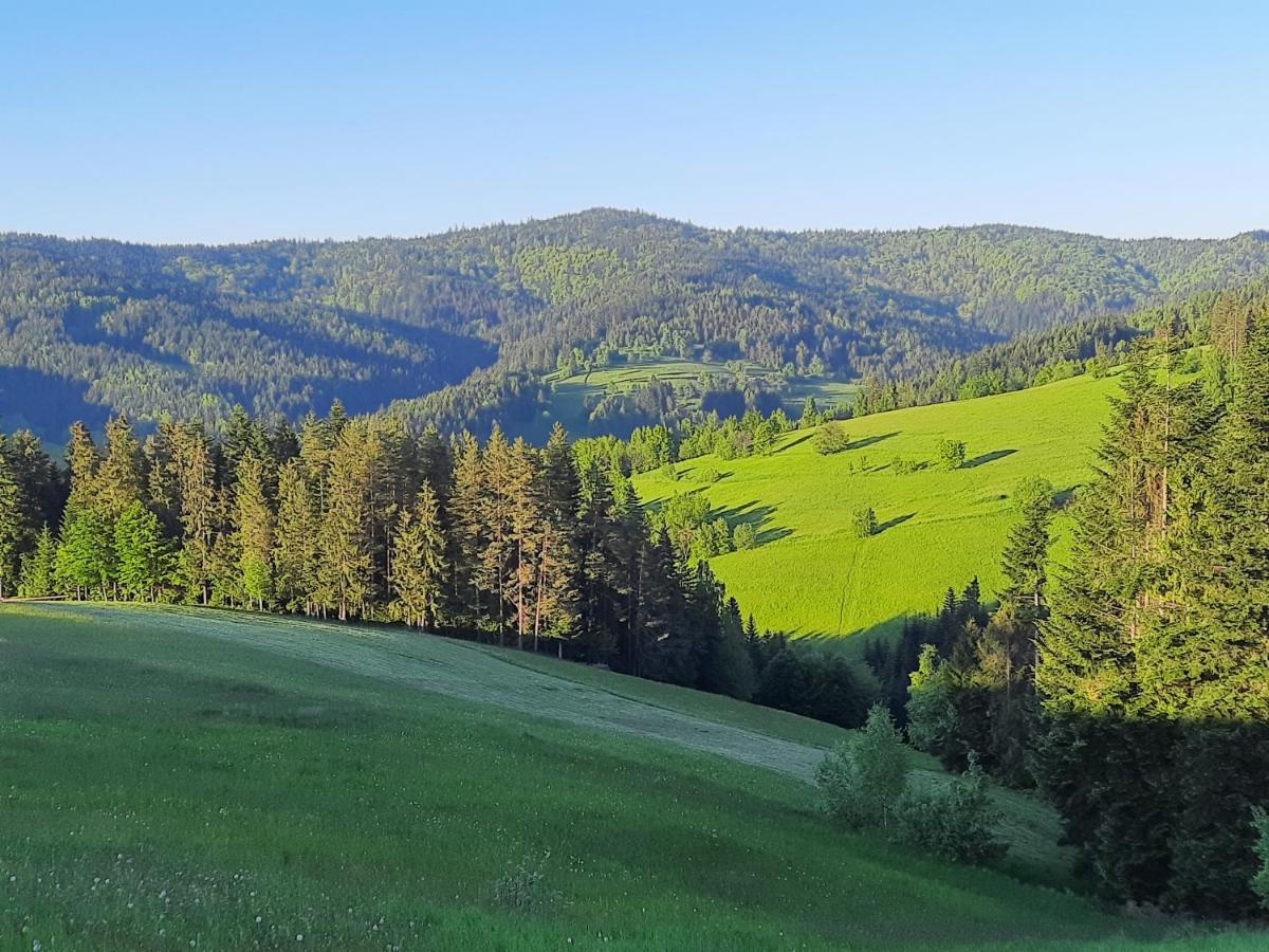 Domek Na Szlaku Rikardo Ponice Exterior foto